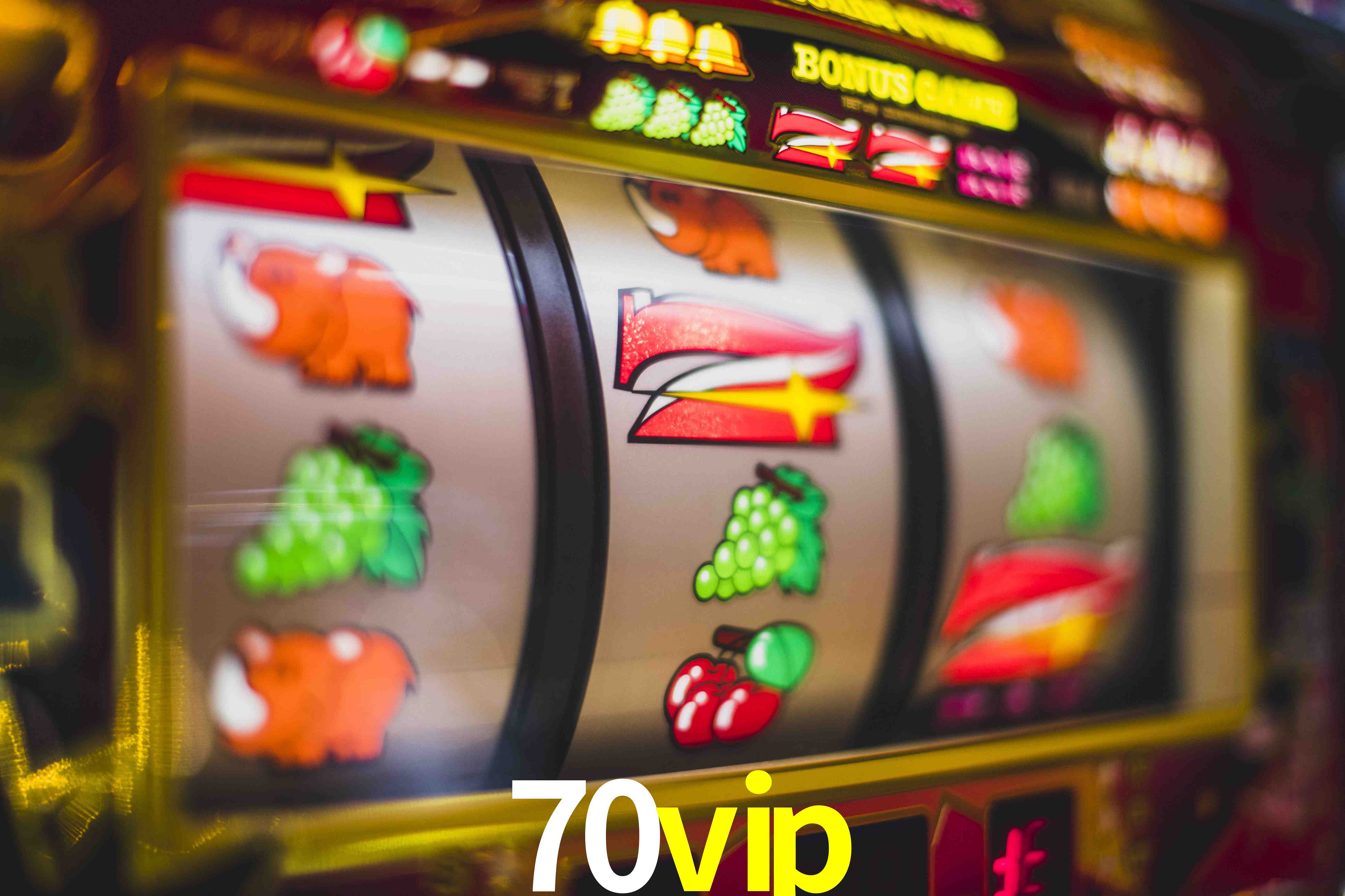 Sports Statistics 70vip